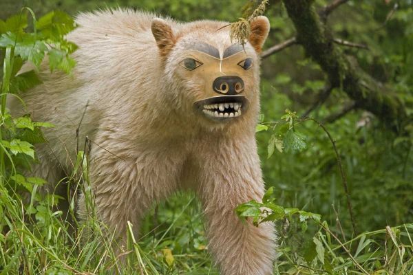 Canada, BC, Princess Royal Is Spirit bear mask